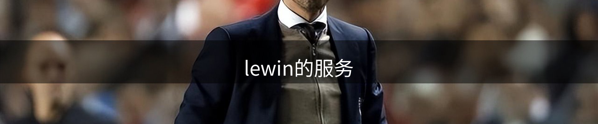lewin的服务